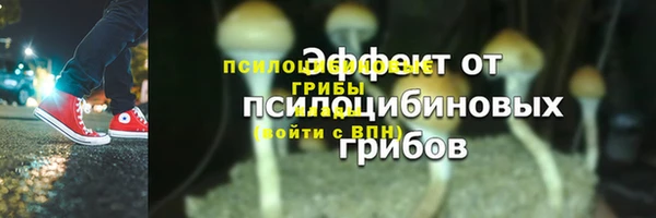 спиды Волоколамск