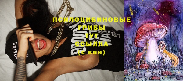 PSILOCYBIN Володарск