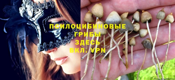 PSILOCYBIN Володарск