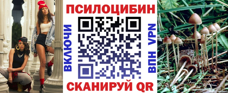 купить   Карасук  Галлюциногенные грибы GOLDEN TEACHER 